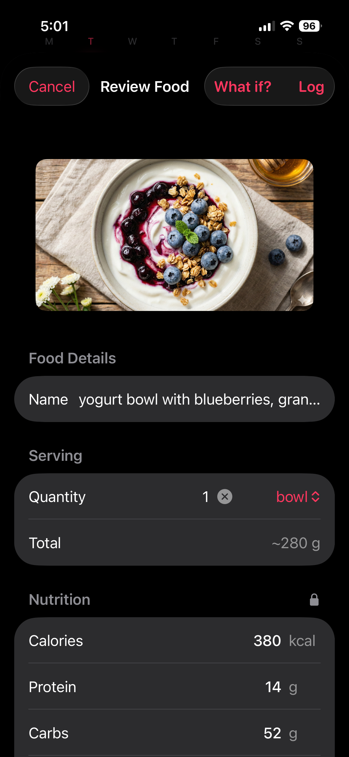 Hondo CalFit Tracker review food screen with nutrition edits and what-if preview